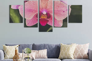 Картина на холсте KIL Art Нежный цветок мраморной орхидеи 112x54 см (965-52)
