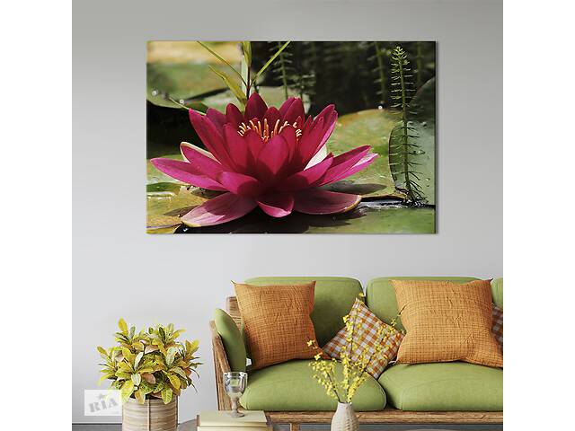Картина на холсте KIL Art Огромный цветок лотоса 75x50 см (1017-1)