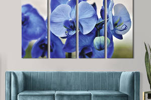 Картина на холсте KIL Art Орхидея с синими цветами 209x133 см (904-41)