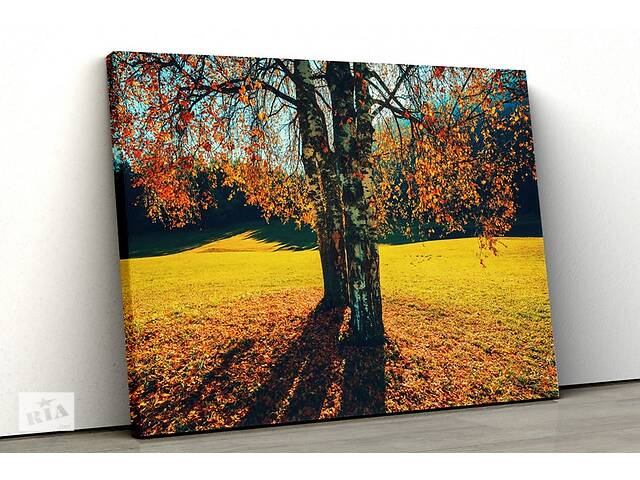 Картина на холсте KIL Art Осенние березы 51x34 см (380)