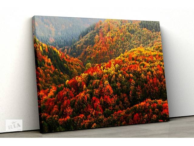 Картина на холсте KIL Art Осенний горный лес 51x34 см (75)