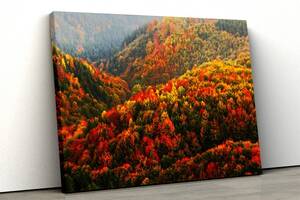 Картина на холсте KIL Art Осенний горный лес 81x54 см (75)