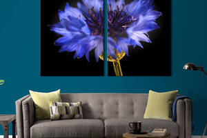Картина на холсте KIL Art Полевой синий василёк 111x81 см (842-2)