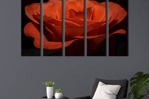 Картина на холсте KIL Art Прекрасный бутон оранжевой розы 132x80 см (974-51)