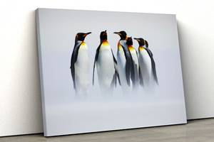 Картина на полотні KIL Art Пінгвіни 81x54 см (98)