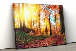 Картина на холсте KIL Art Рассвет в осеннем лесу 81x54 см (328)