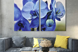 Картина на холсте KIL Art Роскошная синяя орхидея 111x81 см (904-2)