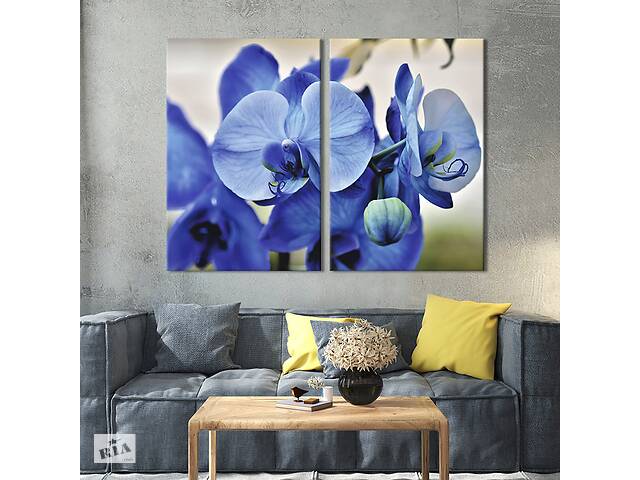 Картина на холсте KIL Art Роскошная синяя орхидея 165x122 см (904-2)