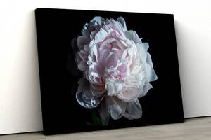 Картина на холсте KIL Art Роскошный цветок пион 81x54 см (335)