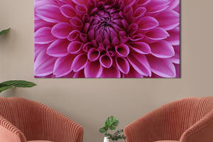 Картина на холсте KIL Art Розовая хризантема 75x50 см (799-1)