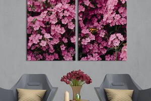 Картина на холсте KIL Art Розовые цветы флоксы 71x51 см (925-2)
