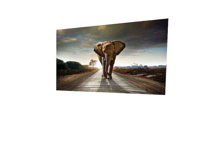 Картина на холсте KIL Art Слон на дороге 122x81 см (106)