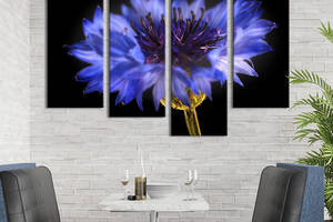 Картина на холсте KIL Art Цветок синего василька 89x56 см (842-42)