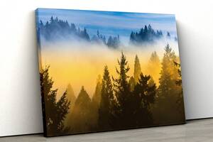 Картина на холсте KIL Art Туман над лесом 51x34 см (325)