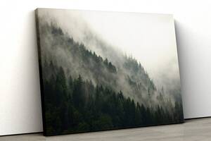 Картина на холсте KIL Art Туманный хвойный лес 51x34 см (326)