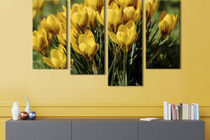 Картина на холсте KIL Art Утонченные жёлтые крокусы 89x56 см (796-42)