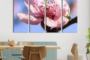 Картина на холсте KIL Art Весенний цветок персика 149x93 см (841-41)