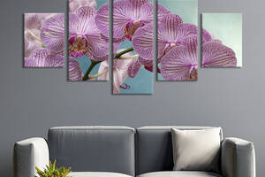 Картина на холсте KIL Art Ветка мраморной орхидеи 187x94 см (902-52)