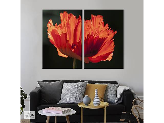 Картина на холсте KIL Art Волнистый цветок мака 111x81 см (969-2)