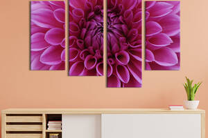 Картина на холсте KIL Art Восхитительная розовая хризантема 149x106 см (799-42)