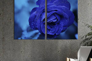Картина на холсте KIL Art Загадочная синяя роза 165x122 см (975-2)