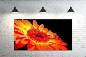 Картина на холсте ProfART S50100-c39 100 x 50 см Цветы (hub_Mlzq98156)