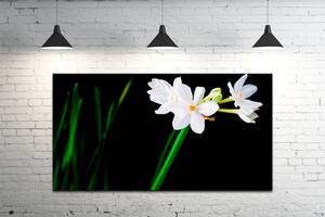 Картина на холсте ProfART S50100-c689 100 x 50 см Цветы (hub_zjbK54184)