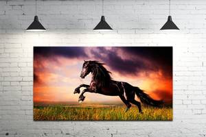 Картина на холсте ProfART S50100-z439 100 x 50 см Лошадь (hub_IqQg31057)