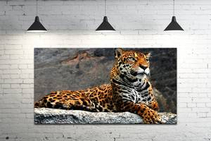 Картина на холсте ProfART S50100-z649 100 х 50 см Леопард (hub_IsYV53032)