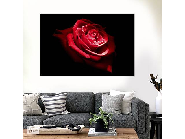 Картина на холсте интерьерная KIL Art Алая роза 75x50 см (222-1)