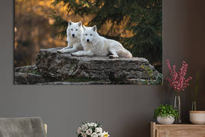 Картина на холсте интерьерная KIL Art Белые волки 75x50 см (179-1)