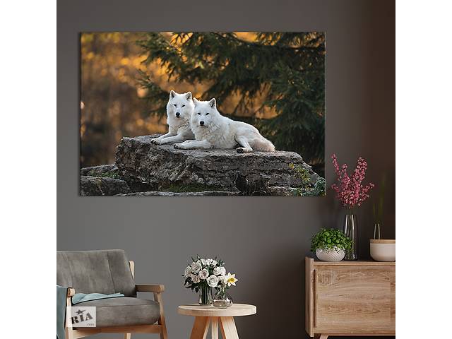 Картина на холсте интерьерная KIL Art Белые волки 75x50 см (179-1)
