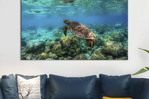Картина на холсте интерьерная KIL Art Большая черепаха 75x50 см (197-1)