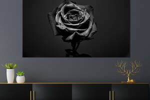 Картина на холсте интерьерная KIL Art Чёрная роза 75x50 см (252-1)
