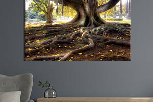 Картина на холсте интерьерная KIL Art Дерево с большими корнями 75x50 см (548-1)
