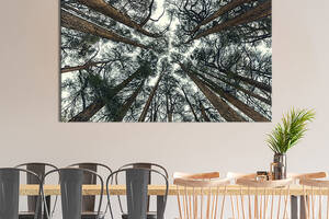 Картина на холсте интерьерная KIL Art Кедровый лес 122x81 см (617-1)