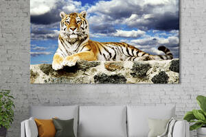 Картина на холсте интерьерная KIL Art Красивый тигр 75x50 см (131-1)