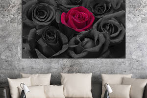 Картина на холсте интерьерная KIL Art Одна красная роза 75x50 см (247-1)