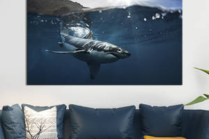 Картина на холсте интерьерная KIL Art Опасная акула 75x50 см (151-1)