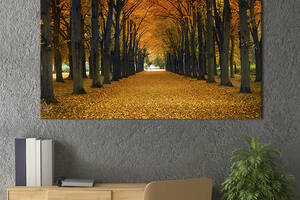Картина на холсте интерьерная KIL Art Осенняя аллея 75x50 см (551-1)