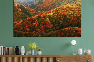 Картина на холсте интерьерная KIL Art Осенний лес 75x50 см (598-1)