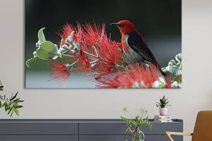 Картина на холсте интерьерная KIL Art Птица красного цвета 75x50 см (129-1)