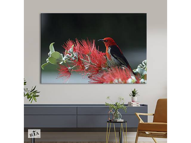 Картина на холсте интерьерная KIL Art Птица красного цвета 122x81 см (129-1)