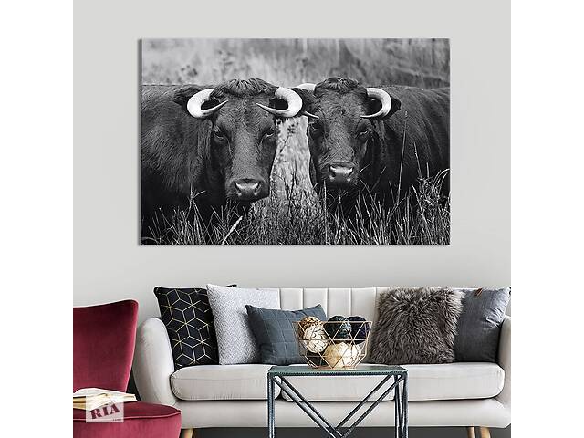 Картина на холсте интерьерная KIL Art Рогатые коровы 75x50 см (210-1)
