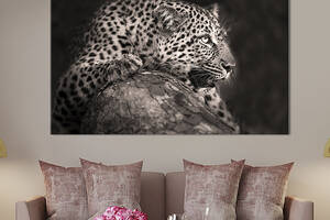 Картина на холсте интерьерная KIL Art Рык леопарда 122x81 см (207-1)