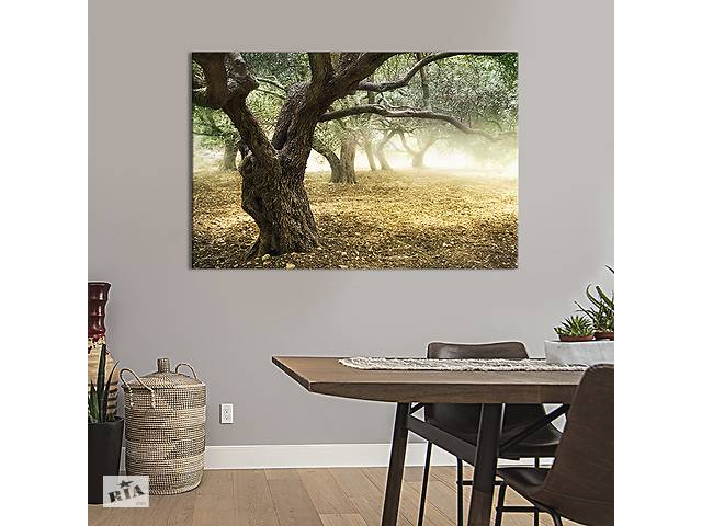 Картина на холсте интерьерная KIL Art Сад оливковых деревьев 75x50 см (554-1)