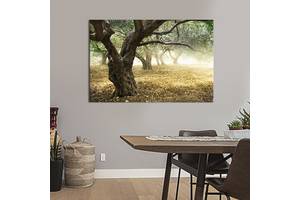 Картина на холсте интерьерная KIL Art Сад оливковых деревьев 51x34 см (554-1)
