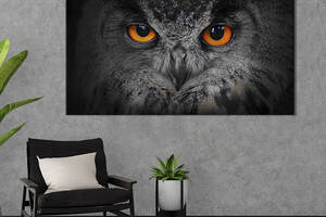Картина на холсте интерьерная KIL Art Серая сова 75x50 см (139-1)