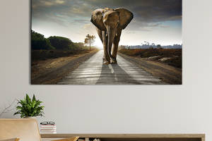 Картина на холсте интерьерная KIL Art Слон на дороге 122x81 см (135-1)