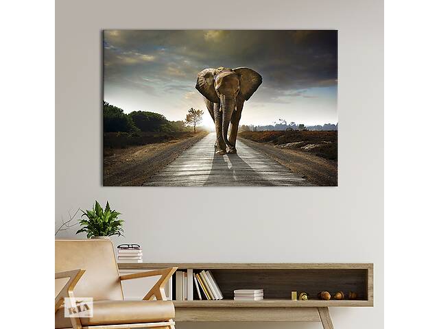 Картина на холсте интерьерная KIL Art Слон на дороге 75x50 см (135-1)